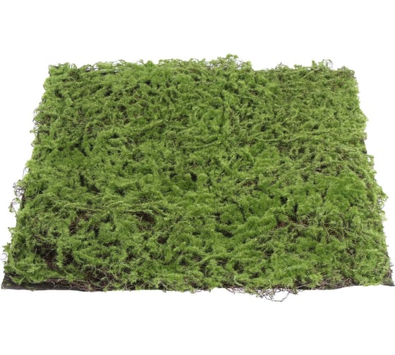 Декоративная панель Greengo 50х50 см, мох 5200613