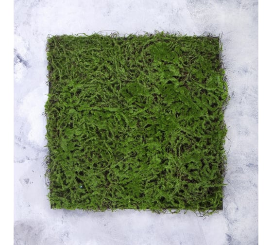 Декоративная панель Greengo 50х50 см, мох 5200613