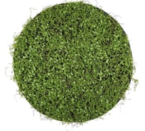 Декоративная панель Greengo d=50 см, мох с ряской 5200611