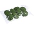 Искусственный мох Greengo Камни 8 шт., 8x6.5x4.5 см 4488263 3