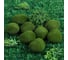 Искусственный мох Greengo Камни 8 шт., 8x6.5x4.5 см 4488263 5