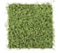 Декоративная панель Greengo 50х50 см, ряска 5200609 1