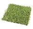 Декоративная панель Greengo 50х50 см, ряска 5200609 2