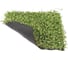 Декоративная панель Greengo 50х50 см, ряска 5200609 3