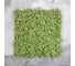 Декоративная панель Greengo 50х50 см, ряска 5200609 4