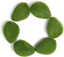 Искусственный мох Greengo Камни 6 шт., 11.5x8.5x6 см 4488262
