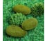 Искусственный мох Greengo Камни 3 шт. 4488256 5