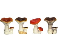 Садовая фигурка ФлораПласт Гриб сыроежка 10х8.5х12.5 см 033713