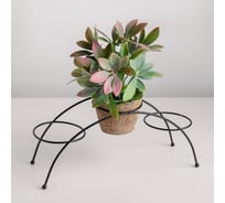 Подставка для цветов Доляна Ринго черная, диаметр 8.2 см, 30х9.5х12 см 4590436