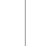 Колышки Green Line 0.8 м 00-00002105