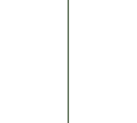 Колышки Green Line 0.8 м 00-00002105 1