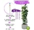 Круглая садовая опора для цветов и растений GARDEN SHOW 5 колец 150 см 466342 4
