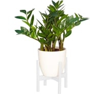 Подставка для цветов GreenWeen Oxalis 20 белая GW-O20W