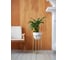 Подставка для цветов GreenWeen Grace 60 золотая, d=27 см GW-G60G 4