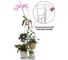 Напольная подставка для цветов 8 мест 41х22х126 см белая GARDEN SHOW 266383 5