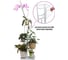 Напольная подставка для цветов 7 мест 41х22х108 см белая GARDEN SHOW 266382 5