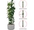 Опора разборная для растений GARDEN SHOW, 4 кольца (Ø31 см, Ø29,5 см, Ø28 см, Ø26 см), металл в пластике, h=120 см 266610 6