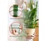 Опора разборная для растений GARDEN SHOW, 4 кольца (Ø31 см, Ø29,5 см, Ø28 см, Ø26 см), металл в пластике, h=120 см 266610 7