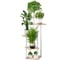 Напольная подставка GARDEN SHOW для цветов №6 5 полок МДФ светлое дерево 60х60х106,3 см металл белый 266576 1