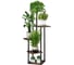 Напольная подставка GARDEN SHOW для цветов №6 5 полок МДФ венге 60х60х106,3 см металл черный 266578 1