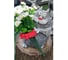 Садовая фигура ФлораПласт Ф300 Кот Жуан 22х18х30 см 074906 1