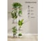 Подставка №1 GARDEN SHOW 5 полок, МДФ (светлое дерево), 36х23,4х94,4 см, металл белый 266408 1