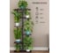 Подставка №2 GARDEN SHOW, 6 полок, МДФ (темное дерево), 36х23,4х106,4 см, металл черный 266411 1