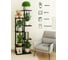Подставка № 10 для высоких растений GARDEN SHOW, 8 мест, МДФ (венге), 46х27,5х154,5 см, металл черный, с креплением к стене 266689 4