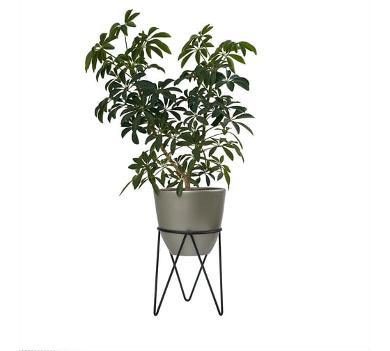 Подставка для растений HANDY HOME Антик, Д16 PM-02BL-L