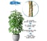 Опора для растений GARDEN SHOW металл в пластике h 120см, 20 шт/ уп, 466137_20 3