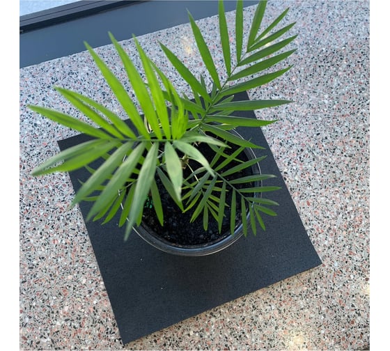 Резиновая подложка под кашпо Alegria Top black flower 200x200x4 мм 200.200.4.TbF