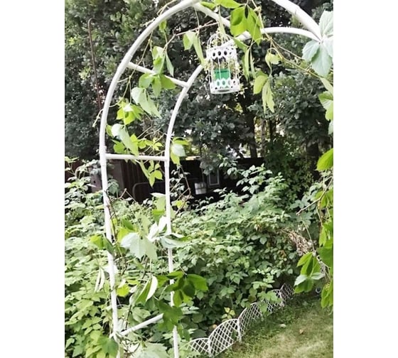 Садовая арка для вьющихся растений Beroma 100x215 см 07710553