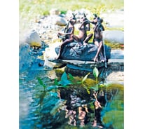 Фигура для фонтана Heissner Лягушачий ансамбль медь 003287-00