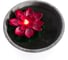 Фигура для пруда INBLOOM диаметр 10 см, с подсветкой 1 LED СR2032, пластик, 6 цветов 171-017 4