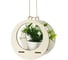 Подвесная подставка для кашпо INBLOOM круг 22x20x14 см, веревка 1.5 м, дерево 177-015 4
