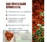 Декоративная щепа Сила Суздаля красная, 30 л 4680004063261 4