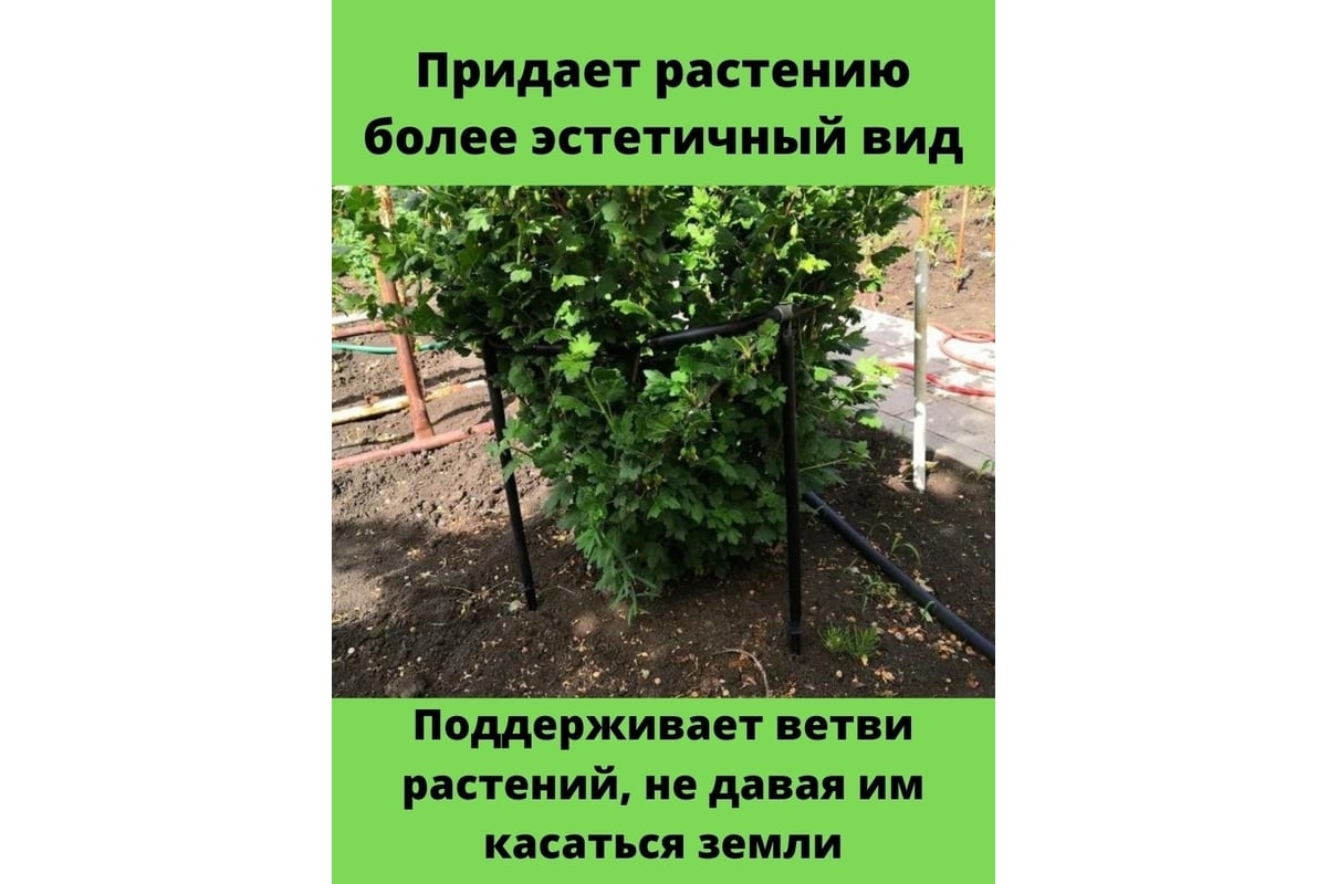 Кустодержатель Комплект-Агро Смородина+, чер KA0455 - выгодная цена,  отзывы, характеристики, фото - купить в Москве и РФ