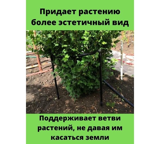Кустодержатель Комплект-Агро Смородина+, чер KA0455