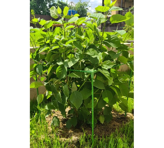 Универсальный кустодержатель Кустик 50х50х70 см 7930140130042