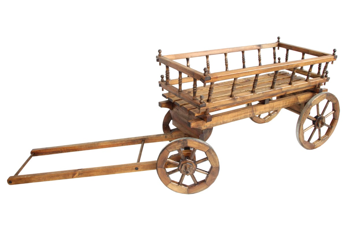 Жигунов телега. Жигунов в молодости. Жигунов телега. Жигунов в молодости. Жигунов телега.