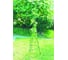 Опора для томатов GREEN APPLE 1.5 м, 24 шт. Б0008274 4