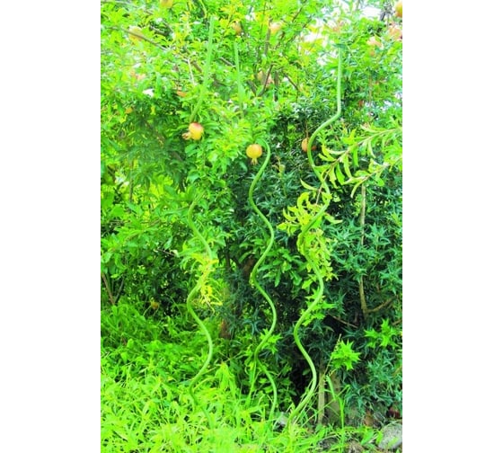 Спиральная поддержка GREEN APPLE 1.5 м Б0008285