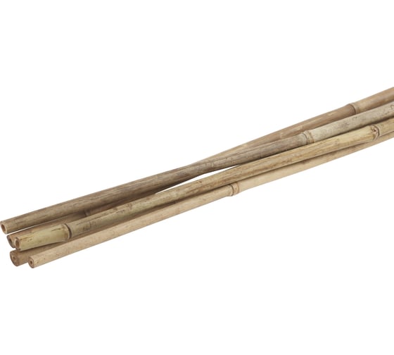 Бамбуковая поддержка GREEN APPLE GBS-10-180 180 см, 10 мм, 5 шт Б0008339