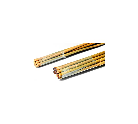 Бамбуковая поддержка GREEN APPLE GBS-10-180 180 см, 10 мм, 5 шт Б0008339