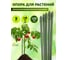 Поддержка металл в пластике стиль бамбук GREEN APPLE GCSB-8-120 120 cм, 8 мм, 5 шт Б0010291 4