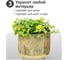 Подставка под кашпо Flower Duet Perfect, набор 2шт /вазон/ Homium set02vase-1 6