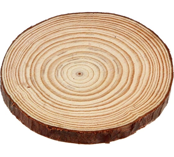 Сосновый спил для декора INBLOOM 10-11x1 см 153-170