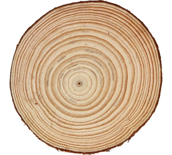 Сосновый спил для декора INBLOOM 10-11x1 см 153-170