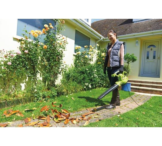 Воздуходувка Ryobi RBV3000CSV 5133002188 - выгодная цена, отзывы ...
