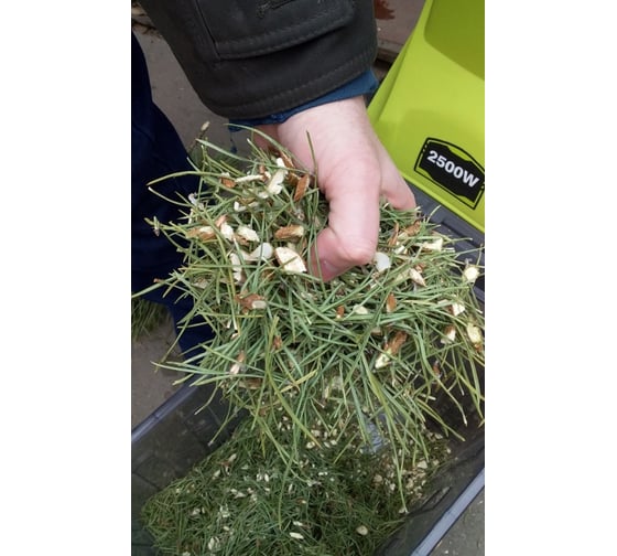 Электрический садовый измельчитель Ryobi RSH2545B 5133002512 8